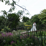 Capability Brown gardens Syon Park