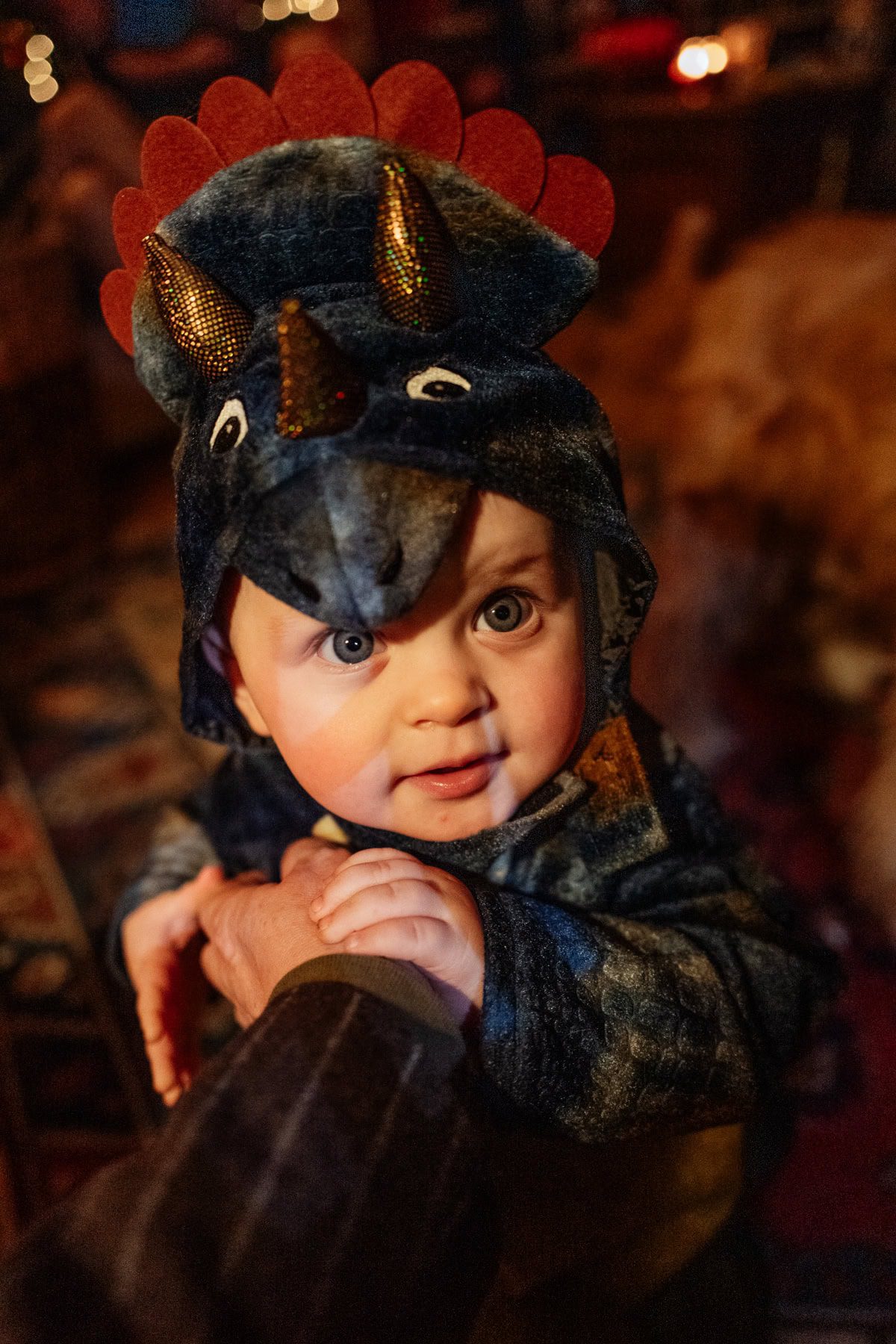 A child dressed as a dinosaur looks back at the camera
