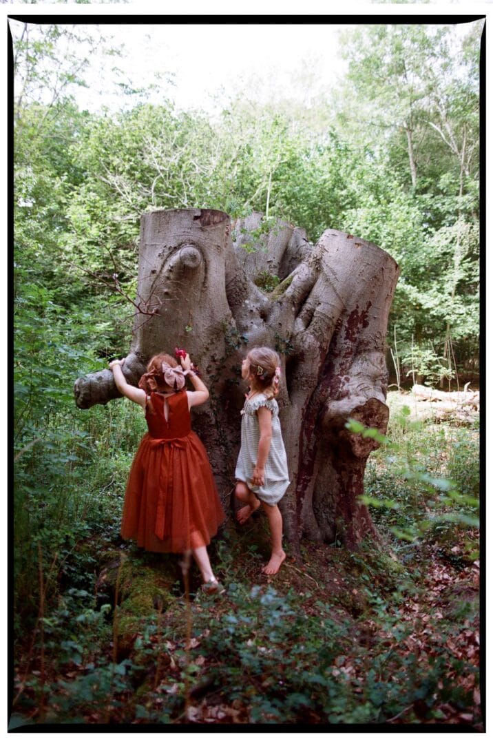 Children climbing a tree stump at Wellington Wood