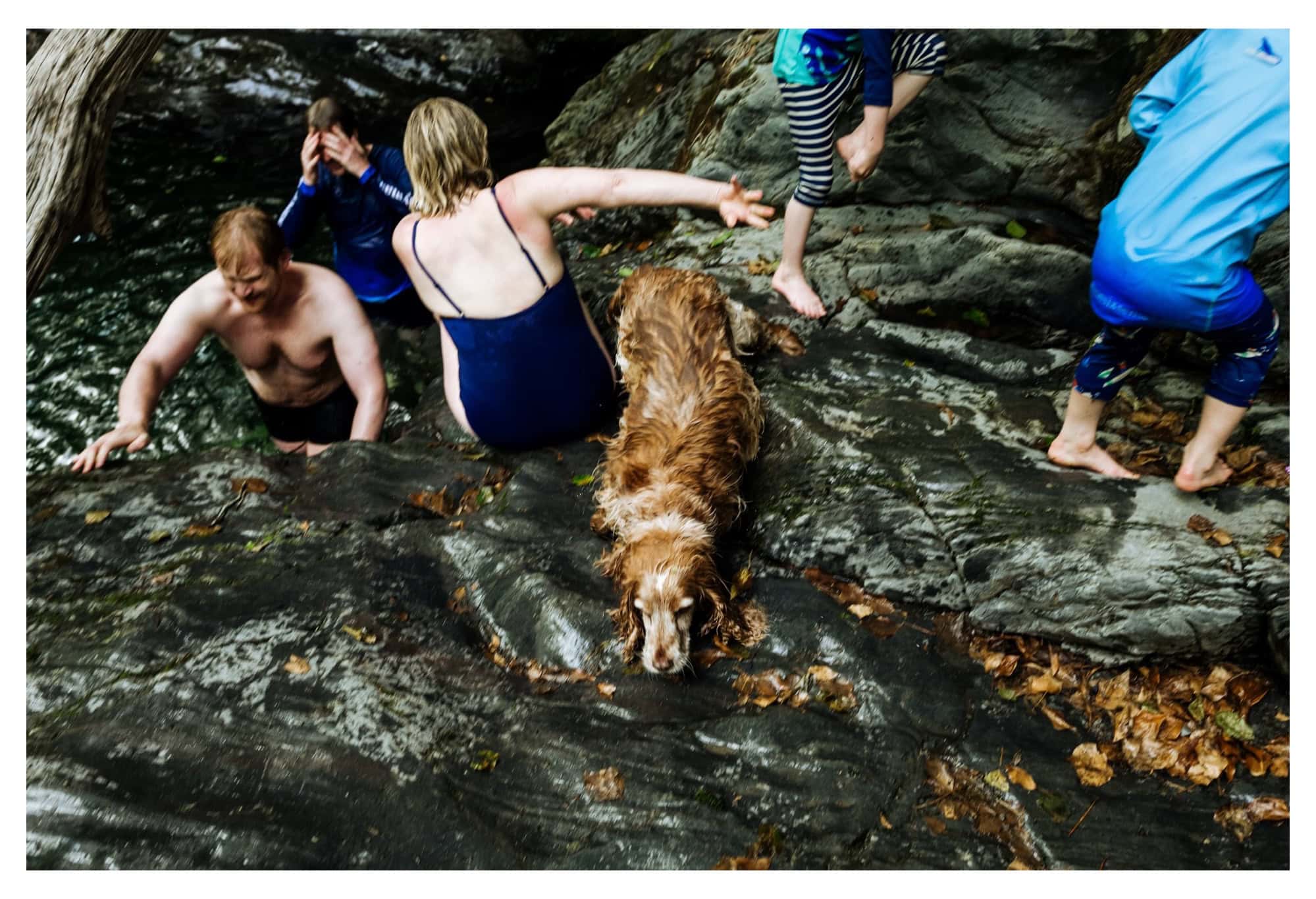 A family and dog playing among rocks at a stream